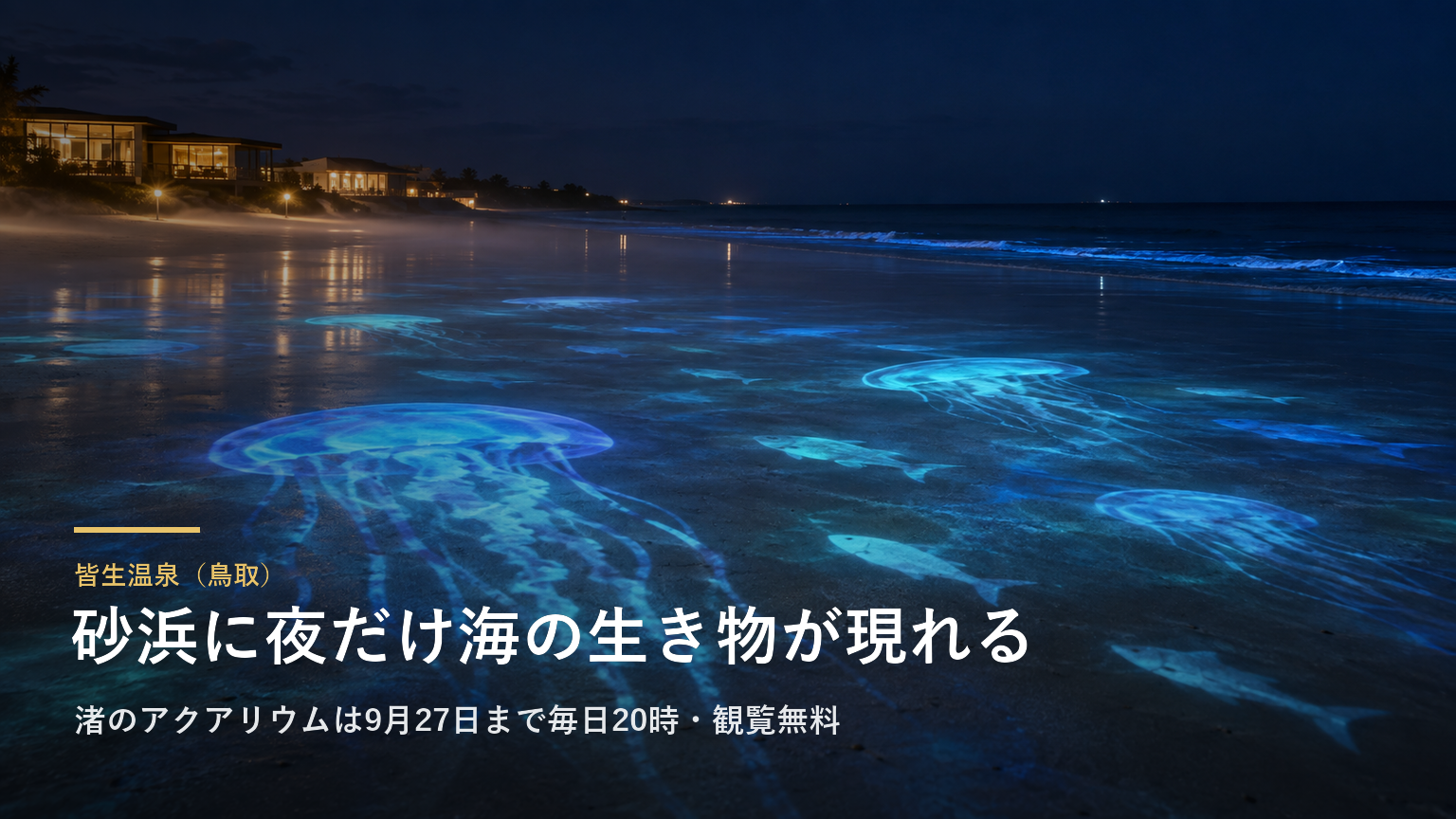 皆生温泉（鳥取） 砂浜に夜だけ海の生き物が現れる