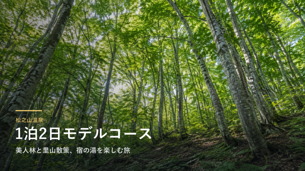 松之山温泉の1泊2日モデルコース｜美人林と里山散策、宿の湯を楽しむ旅