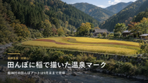 龍神温泉（和歌山） 田んぼに稲で描いた温泉マーク