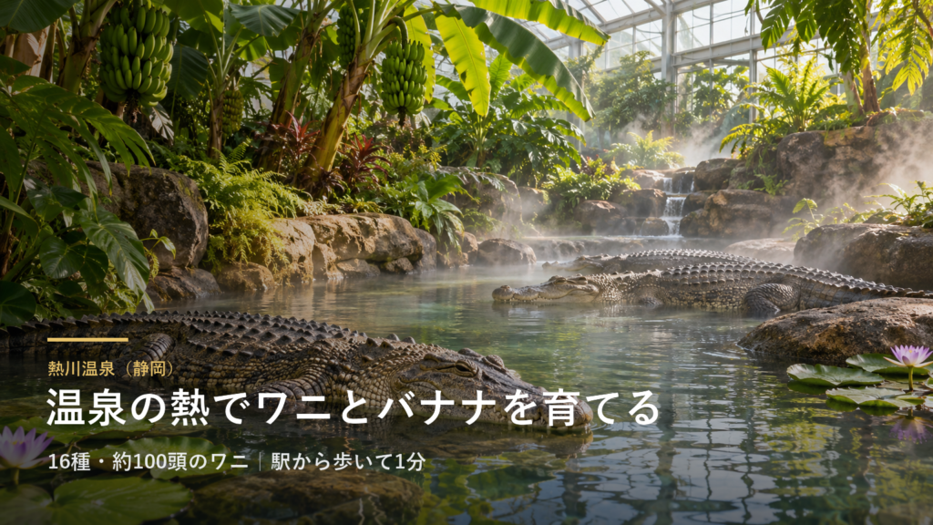 静岡・熱川温泉では、温泉の熱を使ってワニとバナナを育てています|駅から歩いて1分の熱川バナナワニ園