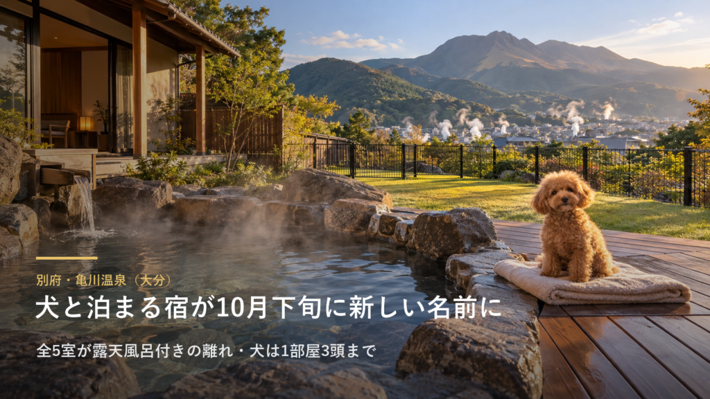 別府・亀川温泉（大分） 犬と泊まる宿が10月下旬に新しい名前に