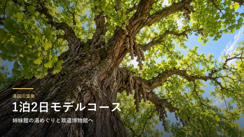 山形・湯田川温泉の1泊2日モデルコース｜姉妹館の湯めぐりと致道博物館へ